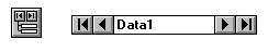 Инструмент Data (Данные) 
и объект типа 'данные', созданный
с его помощью на форме